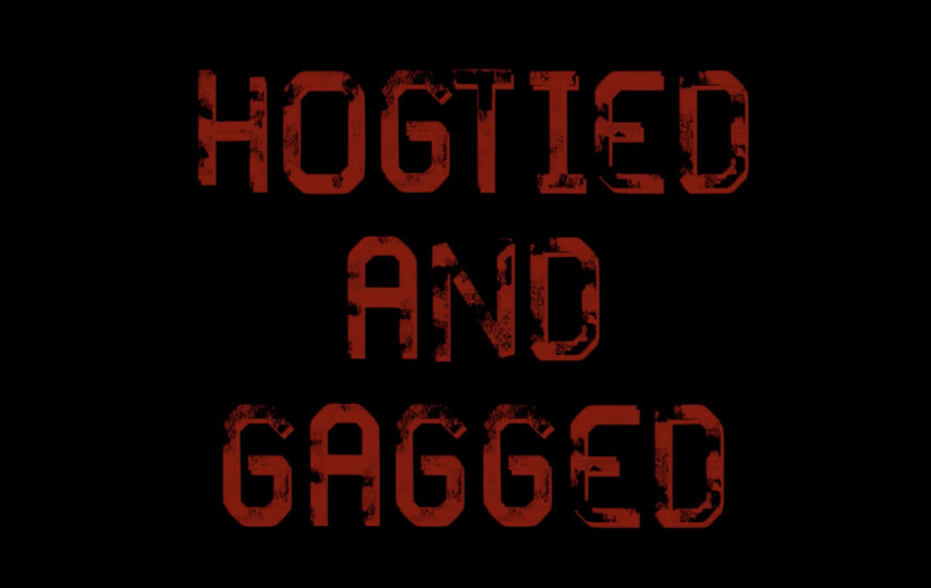 Hogtied and Gagged - Sage Pillar