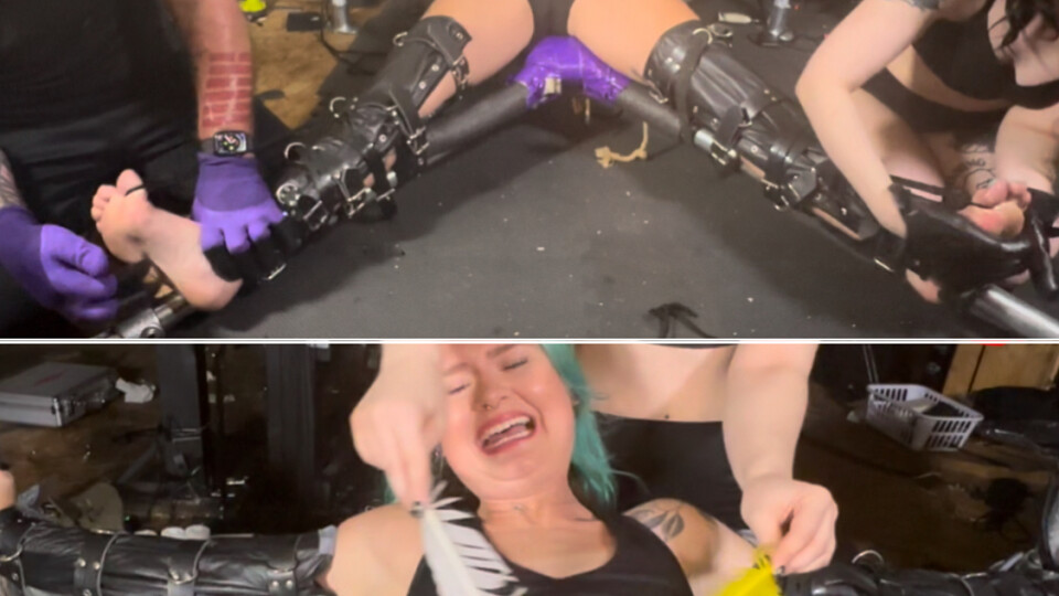 Tickled in Steel - Charmie and Ditria